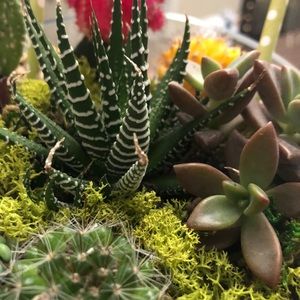 Meet your Posher, roni